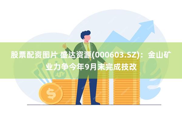 股票配资图片 盛达资源(000603.SZ)：金山矿业力争今年9月末完成技改