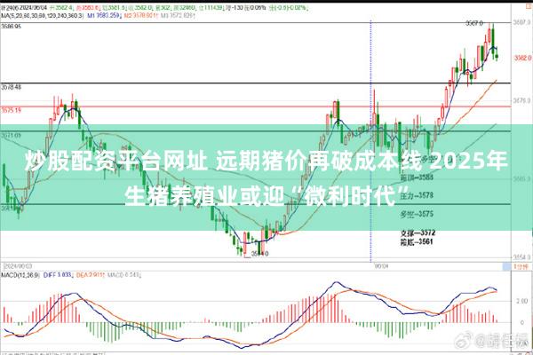 炒股配资平台网址 远期猪价再破成本线 2025年生猪养殖业或迎“微利时代”