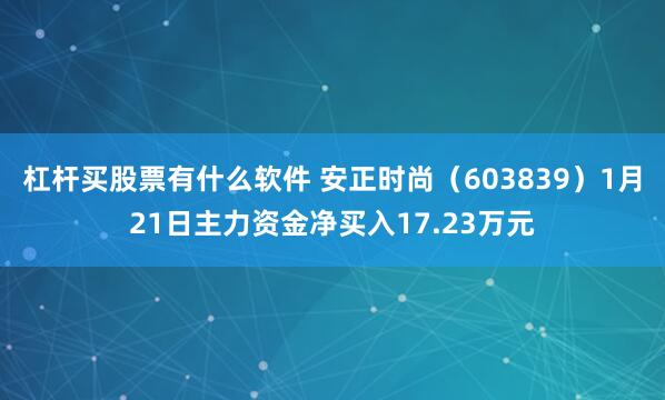 杠杆买股票有什么软件 安正时尚（603839）1月21日主力资金净买入17.23万元