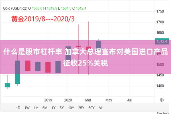 什么是股市杠杆率 加拿大总理宣布对美国进口产品征收25%关税