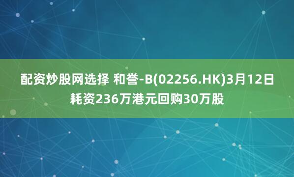 配资炒股网选择 和誉-B(02256.HK)3月12日耗资236万港元回购30万股