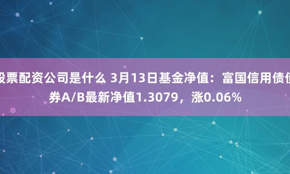 股票配资公司是什么 3月13日基金净值：富国信用债债券A/B最新净值1.3079，涨0.06%