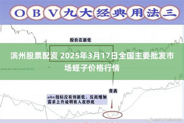 滨州股票配资 2025年3月17日全国主要批发市场蛏子价格行情